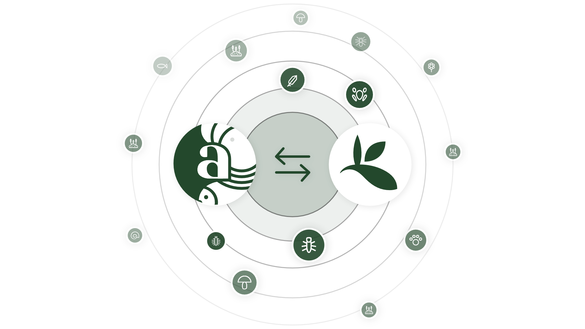 Arter gbif samarbejde